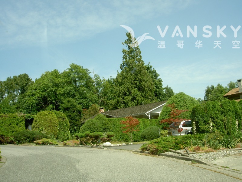 260102014506_AD1-house ad 1.JPG